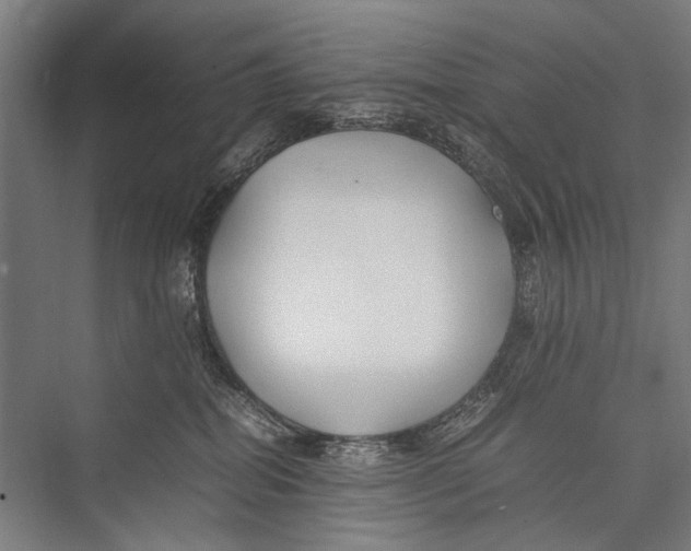 X0000075410282200610062005