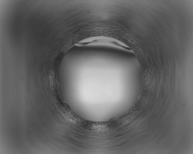 X0000075410283200610062005