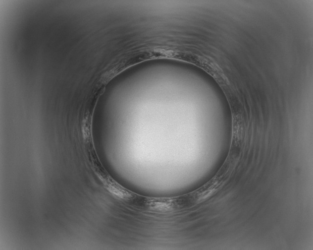 X0000075410285200610062005