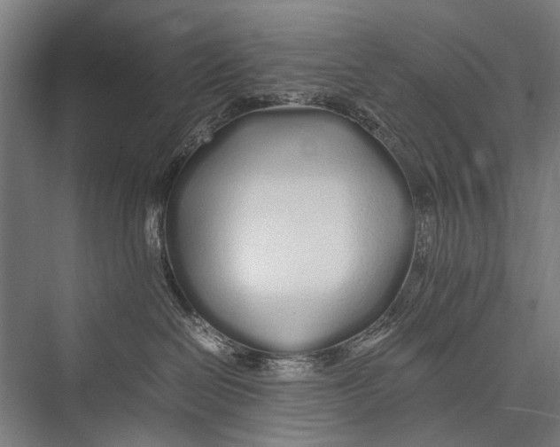 X0000075410286200610062005