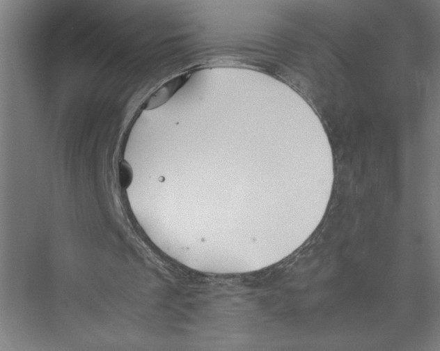 X0000075410289200610062005