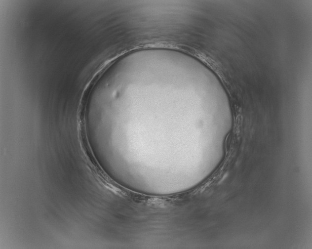 X0000075410290200610062004