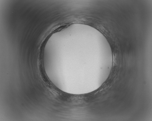 X0000075410291200610062004