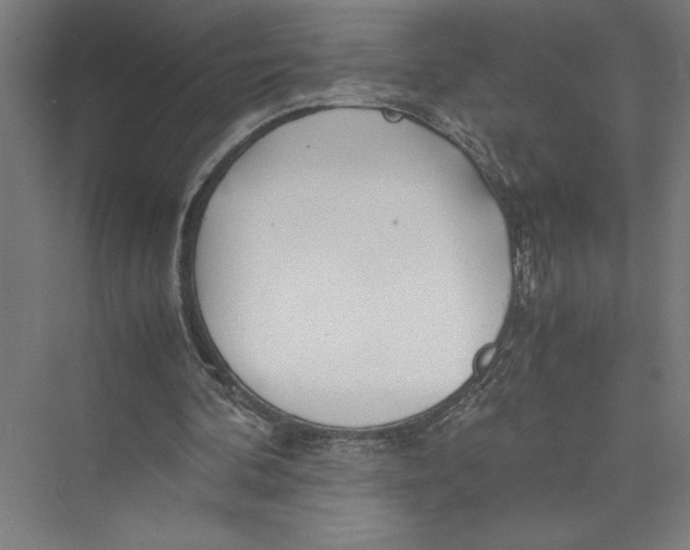 X0000075410292200610062004