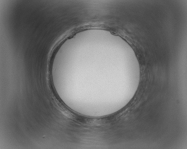 X0000075410293200610062004