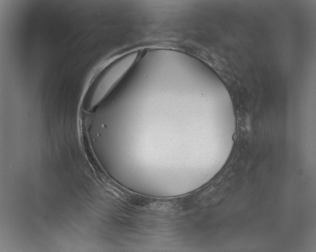 X0000075410294200610062004