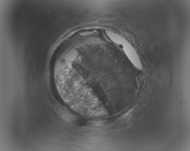 X0000075410295200610062004