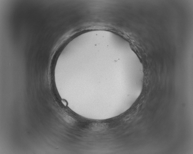 X0000075410296200610062004