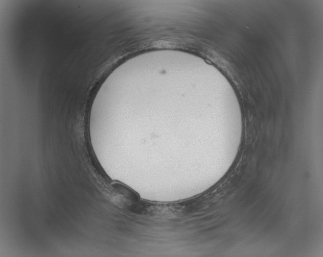 X0000075410297200610062004