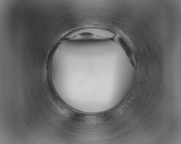 X0000075410298200610062004