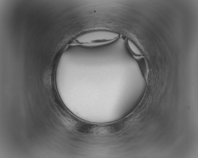 X0000075410299200610062004