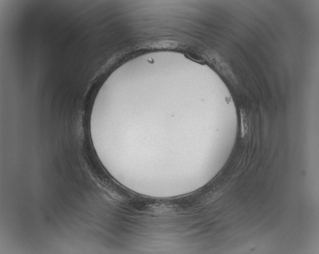 X0000075410300200610062004