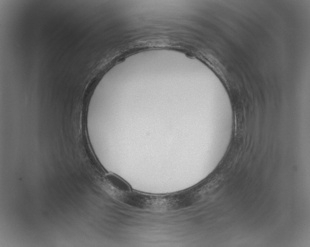 X0000075410301200610062004