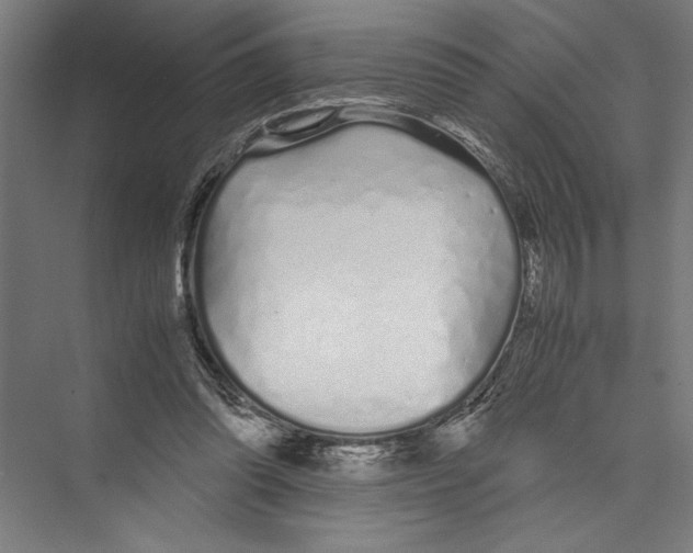 X0000075410302200610062004