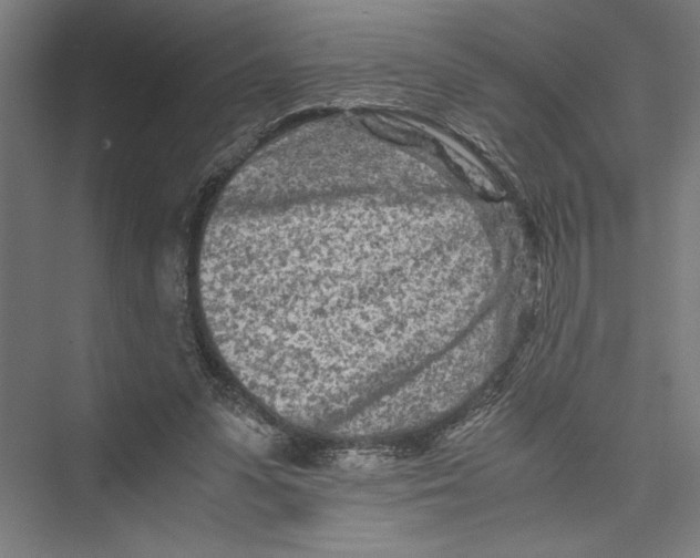 X0000075410303200610062004