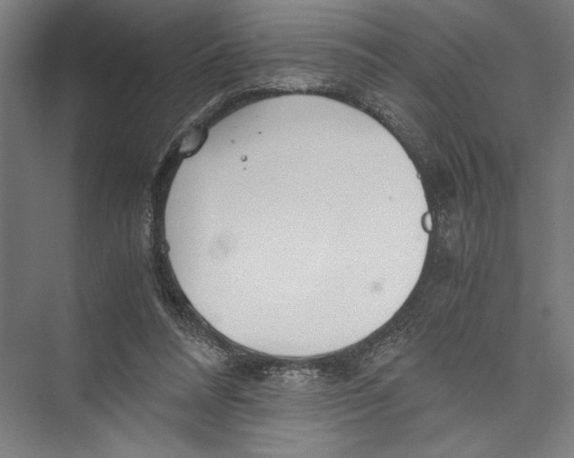 X0000075410304200610062004