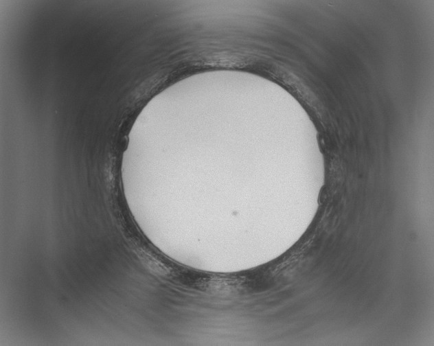 X0000075410305200610062004