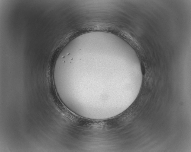 X0000075410306200610062004