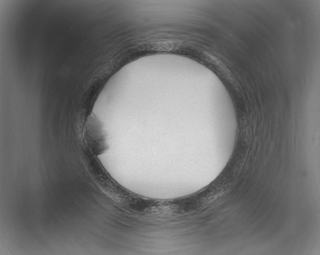 X0000075410307200610062004