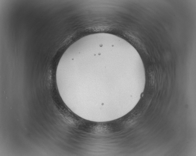 X0000075410308200610062004