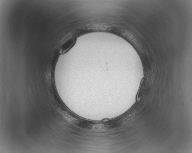 X0000075410309200610062004