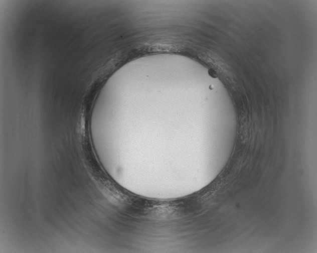 X0000075410310200610062004