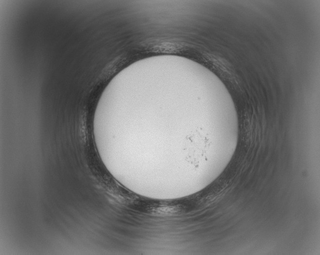 X0000075410312200610062004