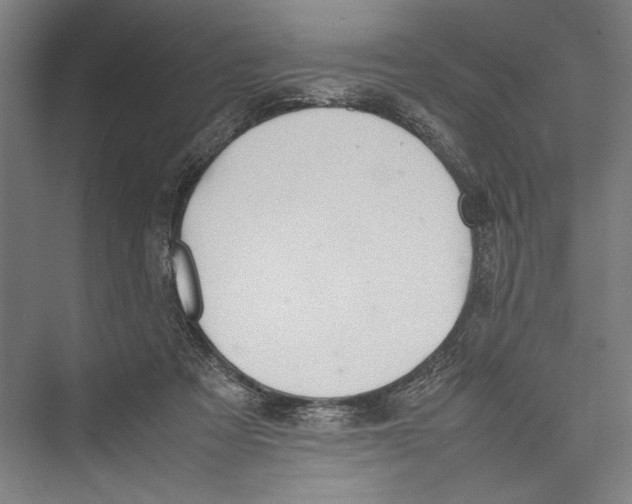 X0000075410313200610062004