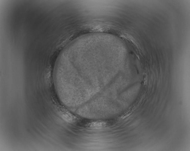 X0000075410314200610062004