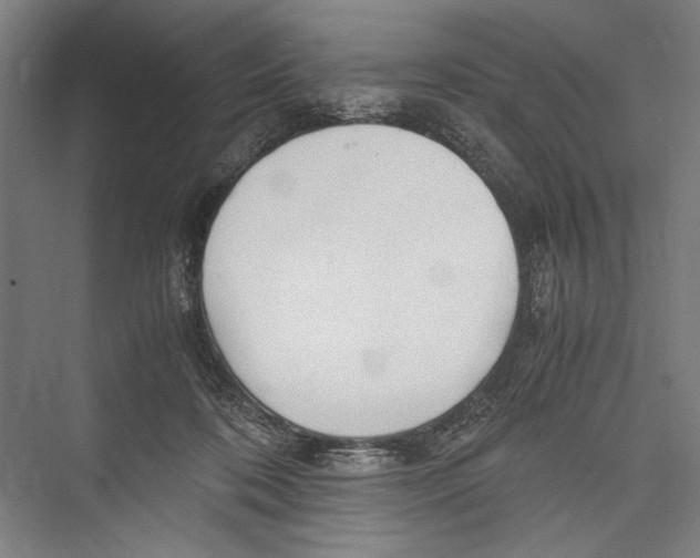 X0000075410316200610062004