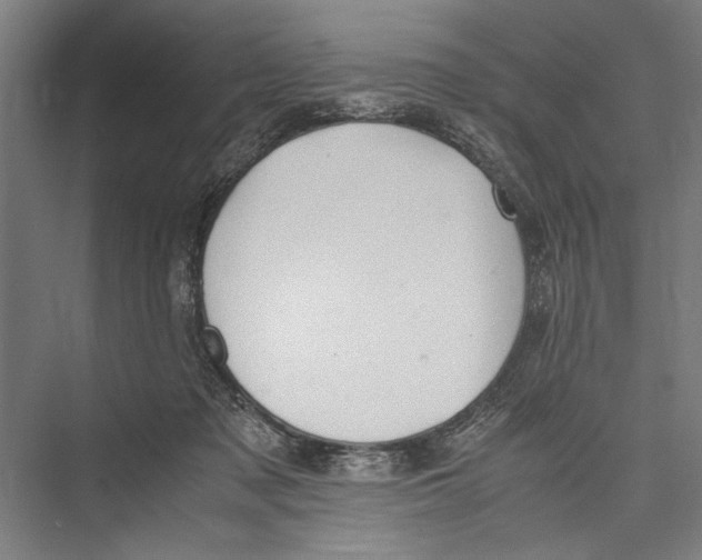 X0000075410317200610062004