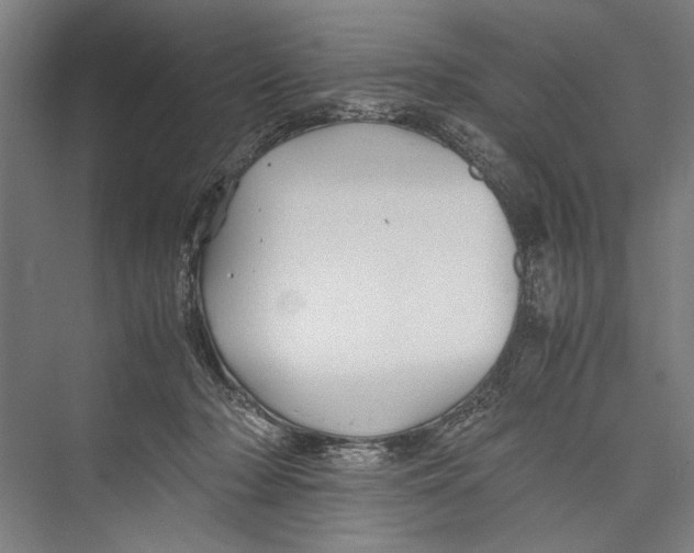 X0000075410318200610062004