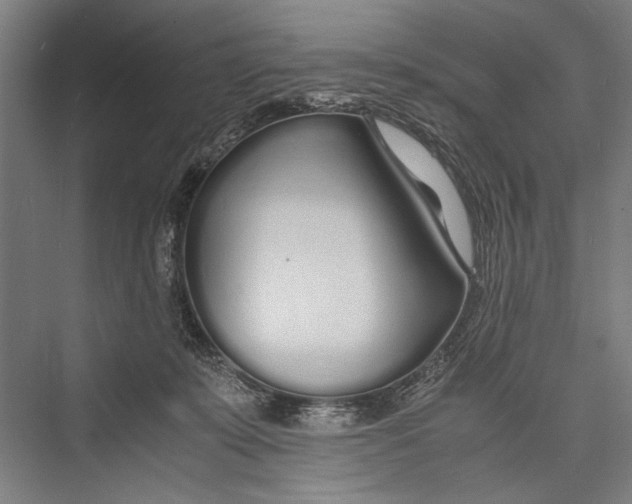 X0000075410319200610062004