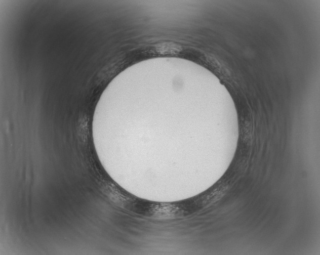 X0000075410321200610062004