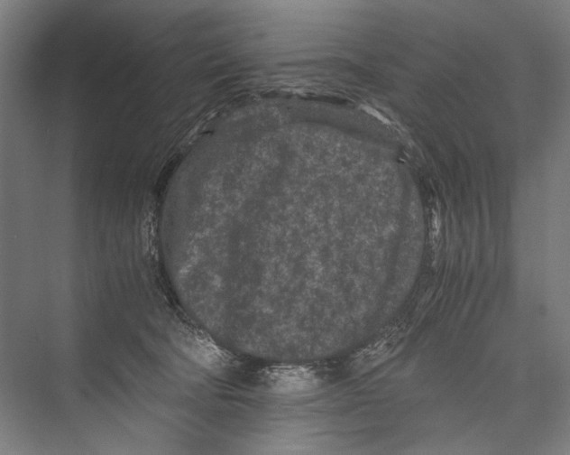 X0000075410322200610062004