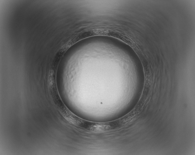 X0000075410323200610062004