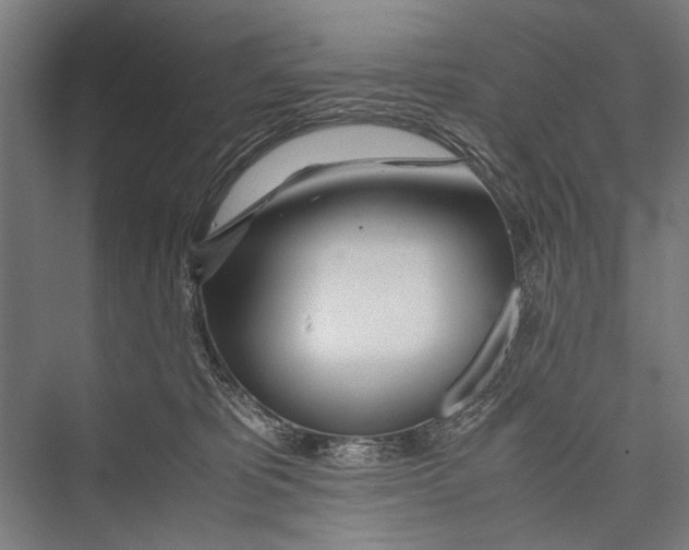 X0000075410325200610062004