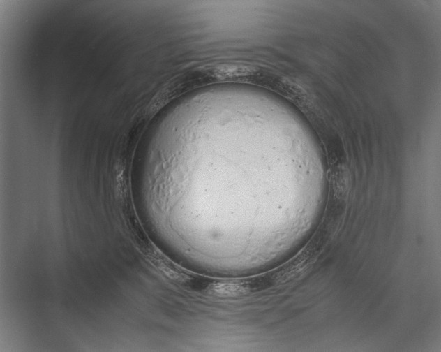 X0000075410327200610062004