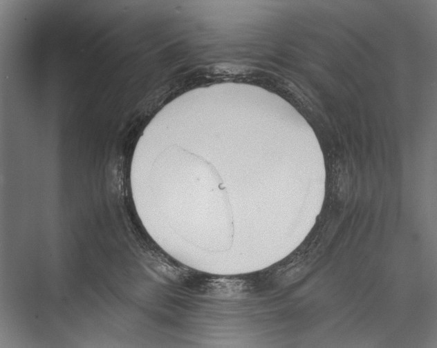 X0000075410328200610062004