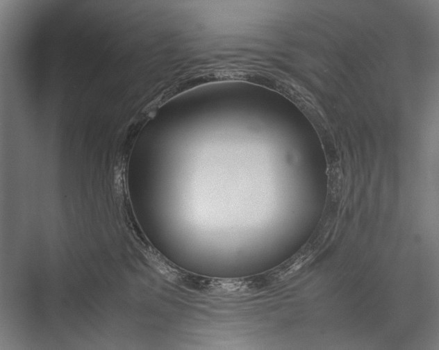 X0000075410329200610062004