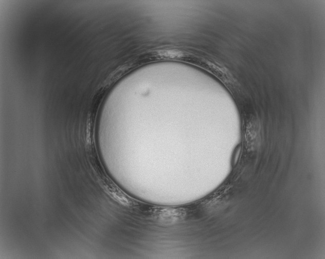 X0000075410330200610062004