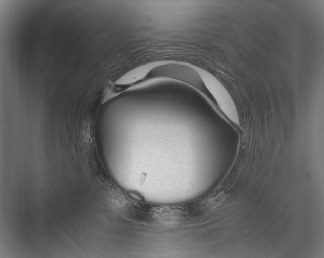 X0000075410331200610062004