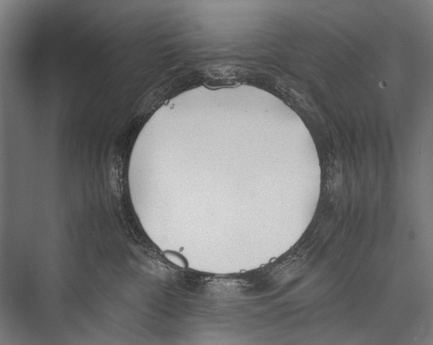 X0000075410332200610062004