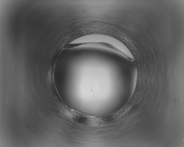 X0000075410333200610062004