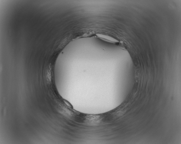 X0000075410334200610062004