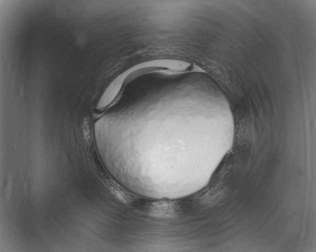 X0000075410335200610062004