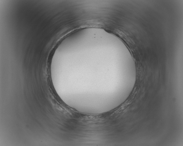 X0000075410338200610062003