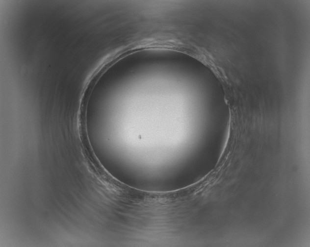 X0000075410340200610062003