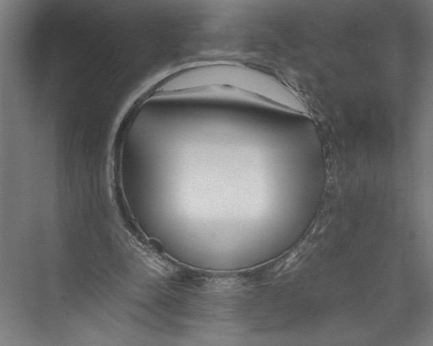 X0000075410342200610062003