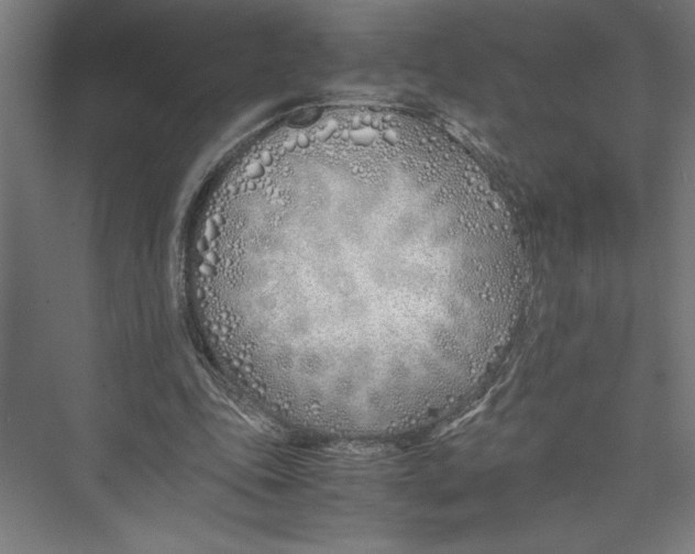 X0000075410343200610062003